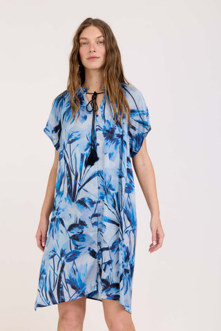 Blue Naya Dress