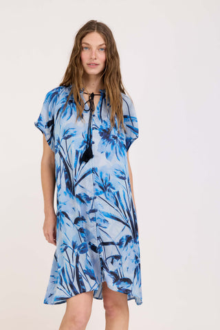 Blue Naya Dress