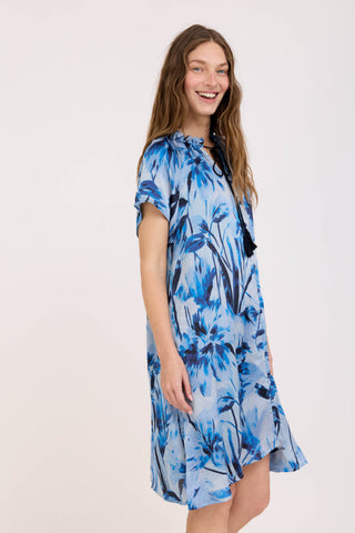 Blue Naya Dress