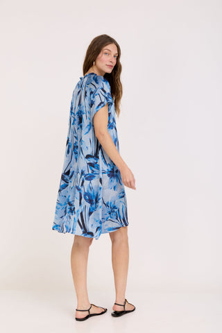 Blue Naya Dress
