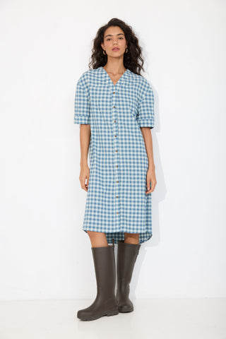 Blue Plaid Moss Dress